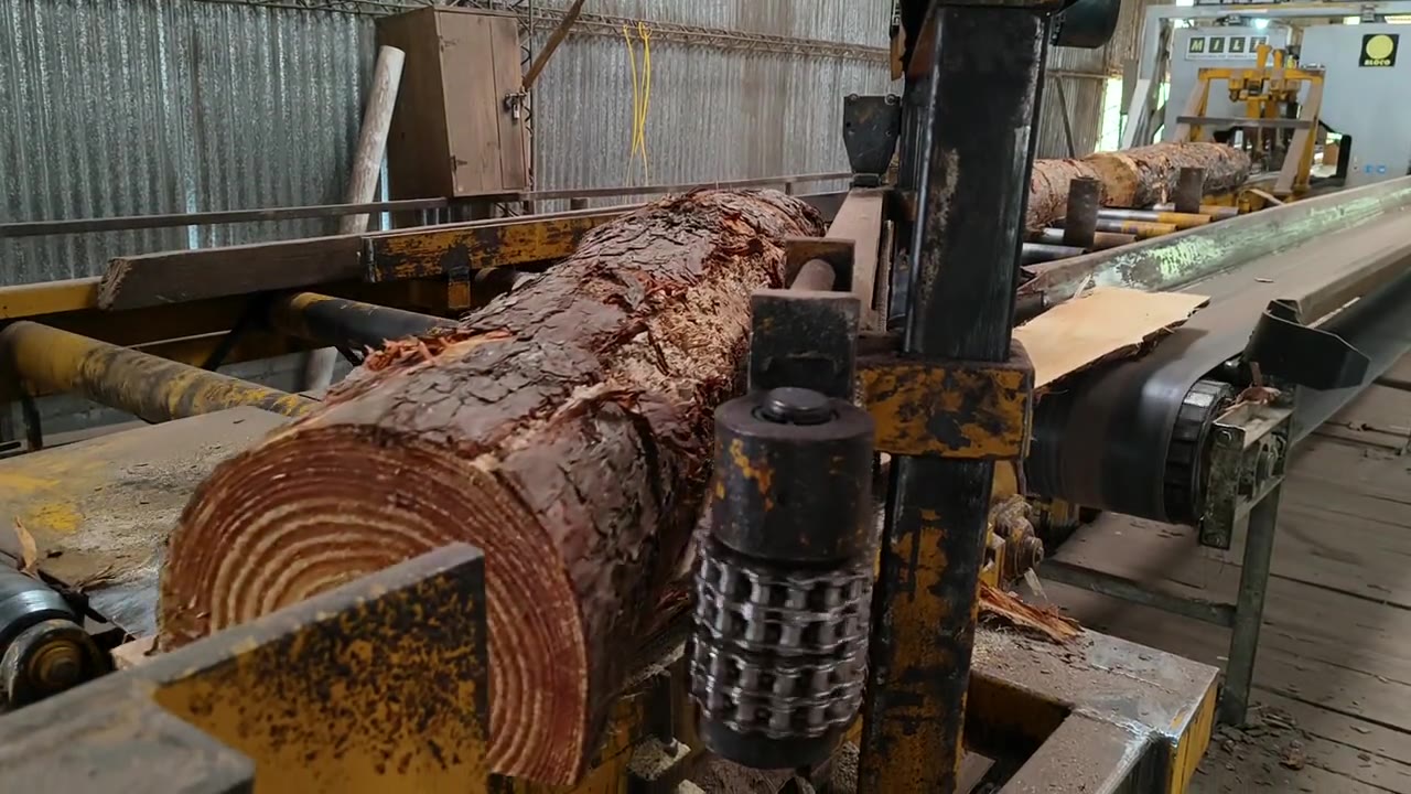 Proceso de aserrado en la planta