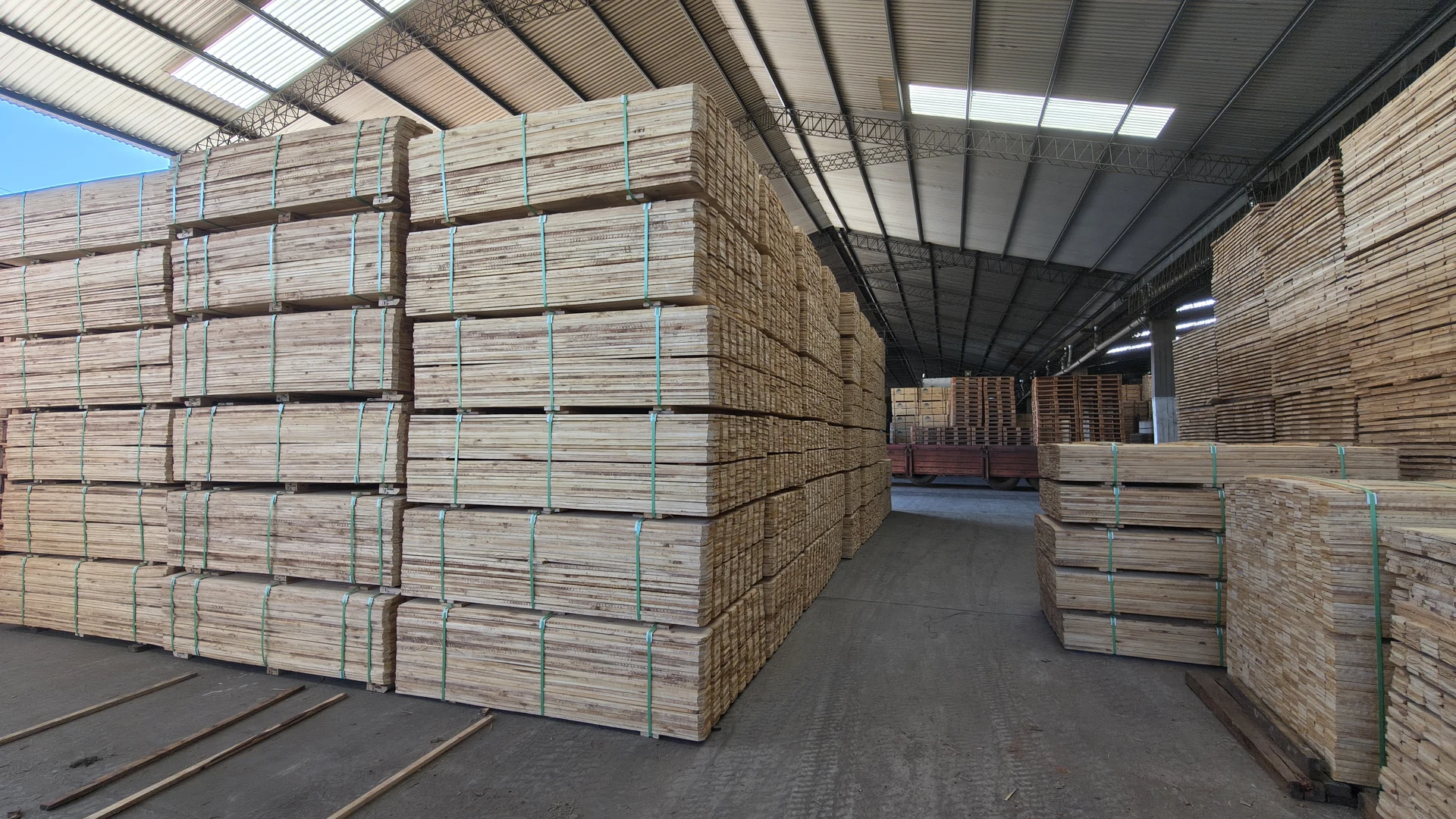 Paquetes de pino aserrado almacenados en la planta