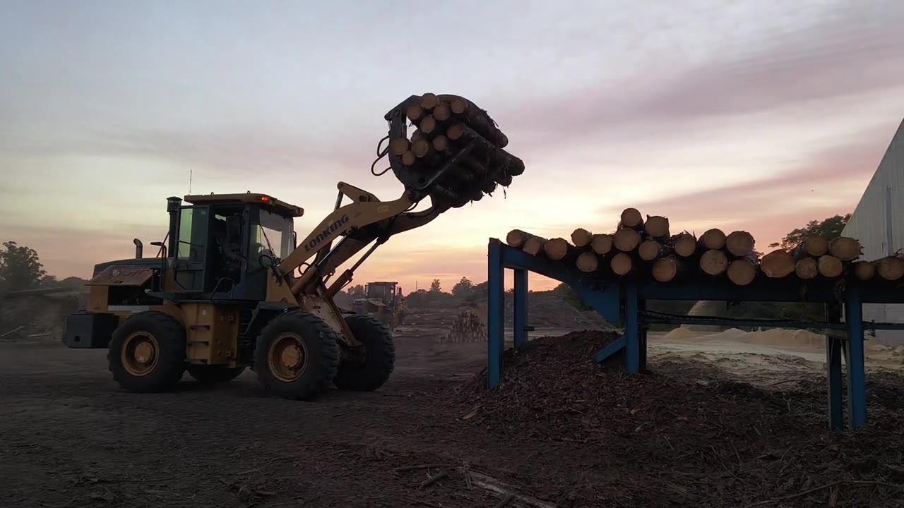 Recepción de rollos de madera al amanecer